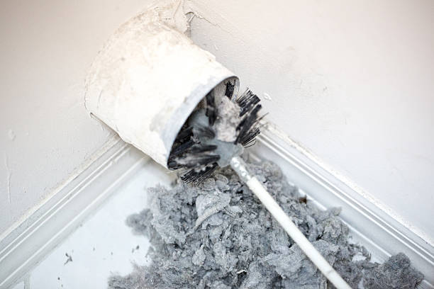 Best Affordable Air Duct Cleaning  in Lehigh Acres, FL